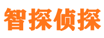 大洼外遇出轨调查取证